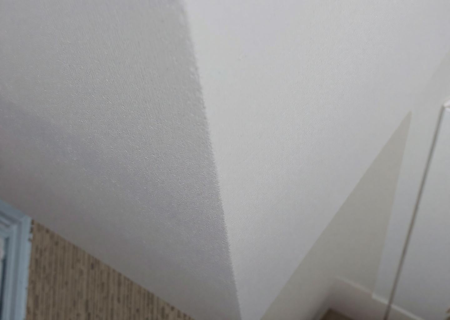 Detail view: Professional Children's Room Painting: Expert Tips for Colors, Safety & Cost